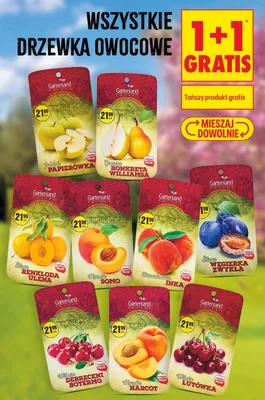 Drzewko owocowe wiśnia Łutówka Gartenland polskie promocja w Biedronka