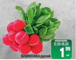 Rzodkiewka pęczek promocja w Tomi Markt
