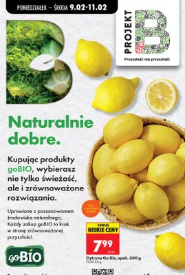 Cytryna promocja w Biedronka