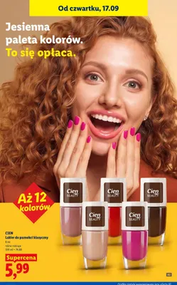 Lakier do paznokci klasyczny Cien promocja w Lidl