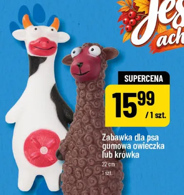 Zabawka dla psa gumowa owieczka 22 cm promocja w POLOmarket