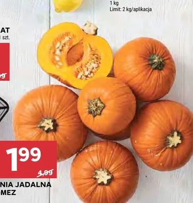Dynia jadalna Gomez promocja w Stokrotka