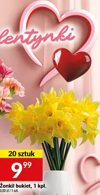 Żonkil bukiet, 1 kpl. promocja w Twój Market
