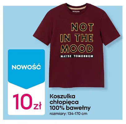 Koszulka chłopięca 100% bawełny promocja w Pepco