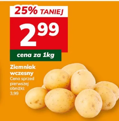 Ziemniak promocja w Hitpol