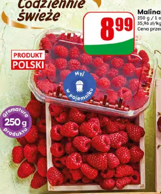 Malina polska promocja w Dino
