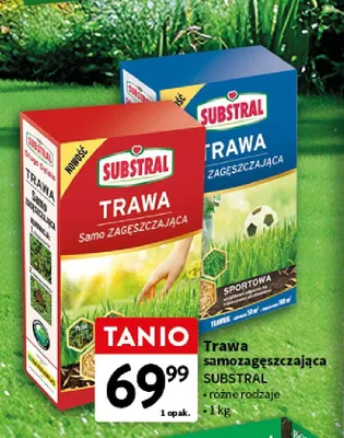 Trawa samozagęszczająca promocja w Intermarche