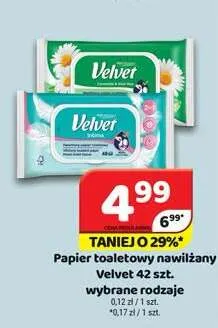 Papier toaletowy nawilżany Velvet Rumianek i Aloes promocja w Delfin