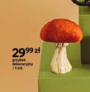 Grzybek dekoracyjny promocja w Empik