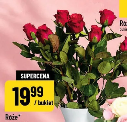Róże promocja w POLOmarket