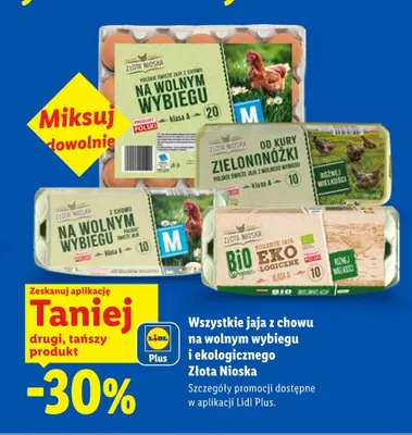 Jajka kurze ekologiczne Bio Eko Złota Nioska promocja w Lidl