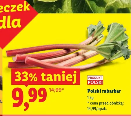 Rabarbar polski promocja w Lidl