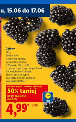 Jeżyny promocja w Lidl