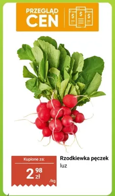Rzodkiewka pęczek luz promocja w Biedronka