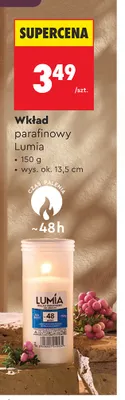 Wkład parafinowy Lumia promocja w Biedronka