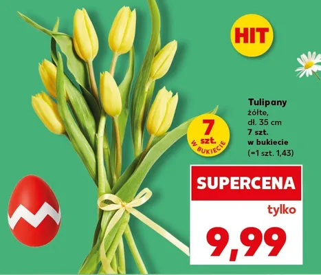 Tulipany żółte promocja w Kaufland