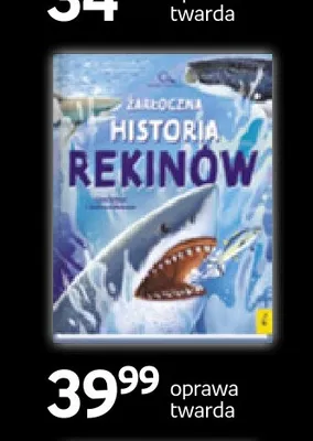Książka Zakręcona historia rekinów Wilga oprawa twarda promocja w Empik