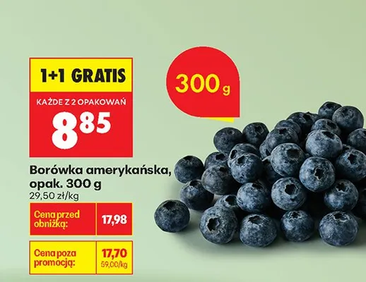 Borówka amerykańska, opak. 300 g promocja w Biedronka