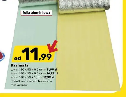 Karimata 180x50x0,6 cm promocja w Bricomarche