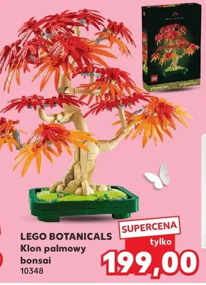 Klon palmowy bonsai promocja w Kaufland