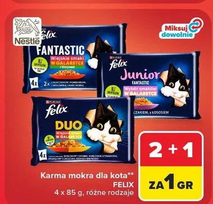 Karma mokra dla kota Felix Fantastic Wiejskie Smaki w galaretce z warzywami promocja w Carrefour