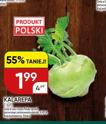 Kalarepa polska promocja w Chata Polska