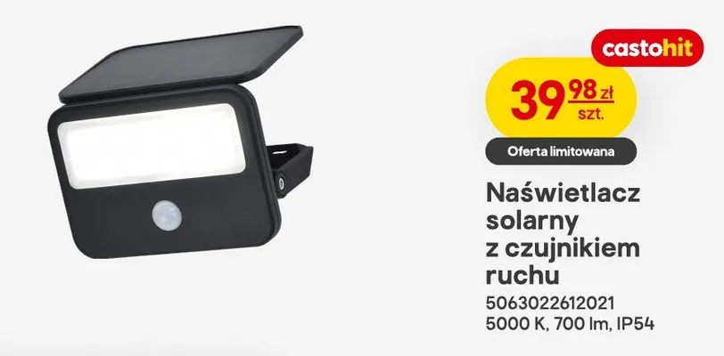 Naświetlacz led z czujnikiem ruchu Lethe promocja w Castorama