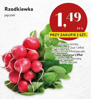 Rzodkiewka promocja w Market Point