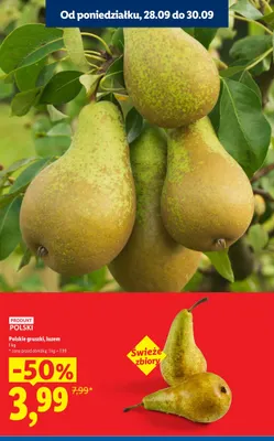 Gruszki polskie promocja w Lidl