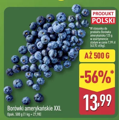 Borówki amerykańskie XXL promocja w Aldi