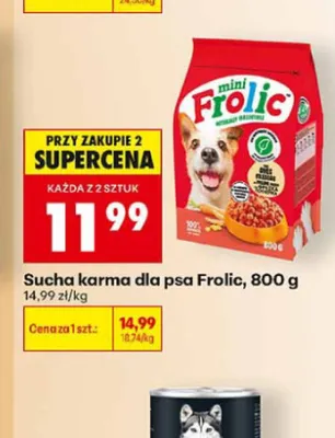 Sucha karma dla psa Frolic promocja w Biedronka