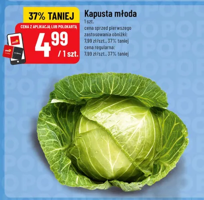 Kapusta młoda promocja w POLOmarket
