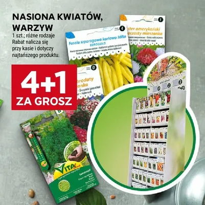 Nasiona kwiatów, warzyw promocja w Stokrotka