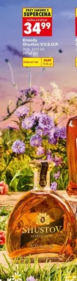 Brandy Shustov V.V.S.O.P. promocja w Biedronka