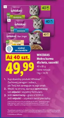 Mokra karma dla kota, saszetki różne rodzaje promocja w Lidl