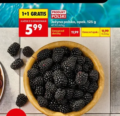 Jeżyna polska promocja w Biedronka