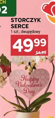 Storczyk serce promocja w Stokrotka