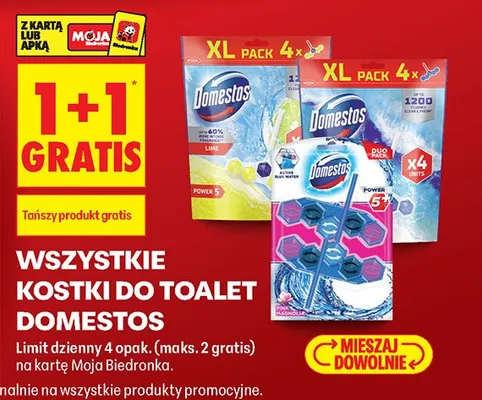 Kostki do toalet promocja w Biedronka