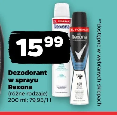 Dezodorant w sprayu Rexona Men promocja w Netto
