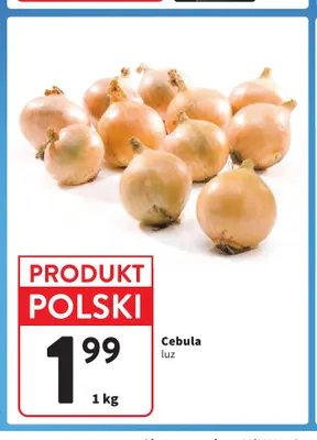 Cebula promocja w Intermarche