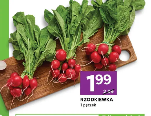 Rzodkiewka promocja w Stokrotka