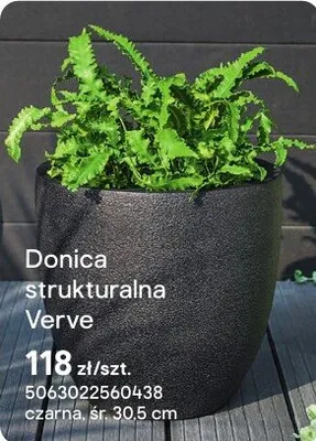 Donica strukturalna Verve promocja w Castorama