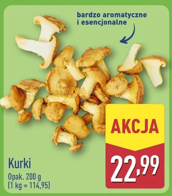 Kurki promocja w Aldi