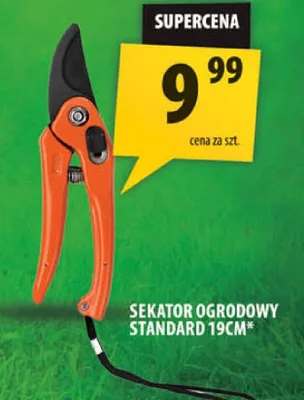 Sekator ogrodowy standard 19cm promocja w Arhelan