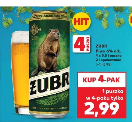 Piwo Żubr 6% alk. 4-pak promocja w Kaufland