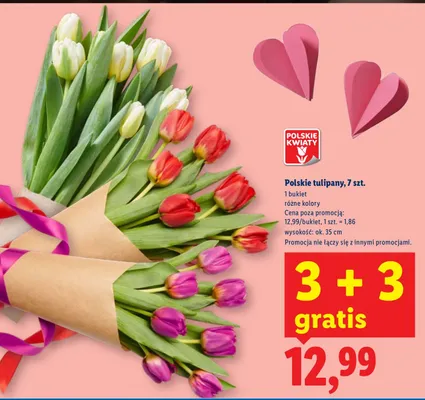 Tulipany różne kolory promocja w Lidl