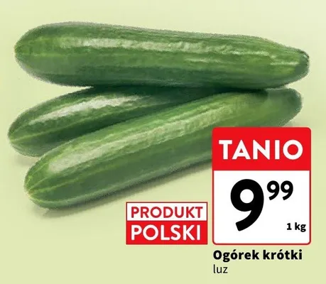 Ogórek krótki luz promocja w Intermarche