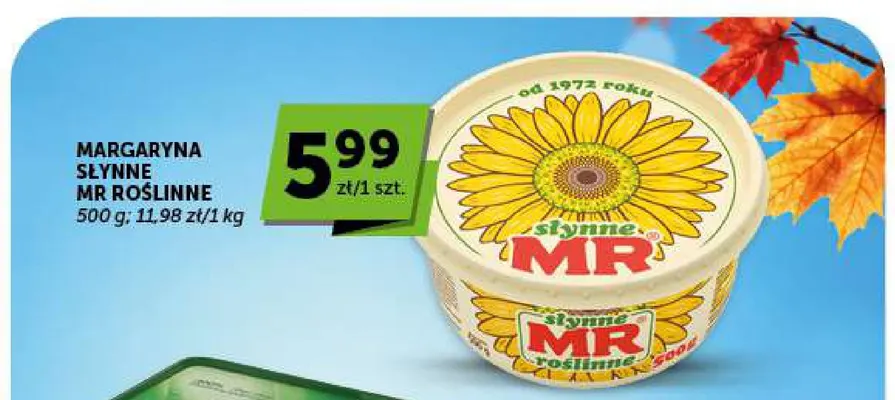Margaryna Słynne MR Roślinne promocja w Euro Sklep