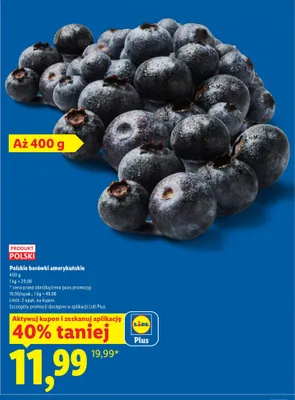 Borówki amerykańskie polskie promocja w Lidl