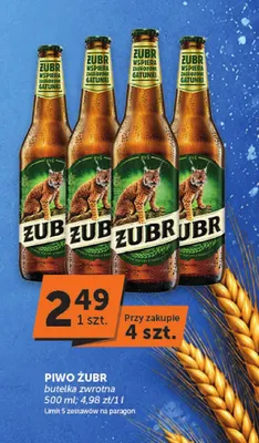 Piwo Żubr promocja w Euro Sklep